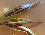 Load image into Gallery viewer, Narrow Leaf Milkweed Seeds
